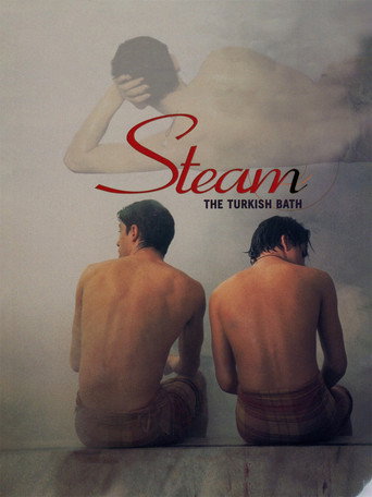 Steam: The Turkish Bath movie poster