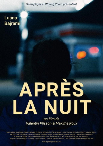 After the Night movie poster