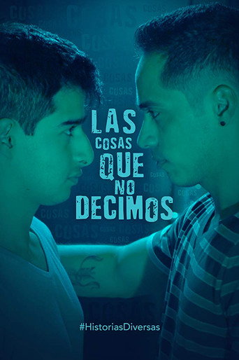 The Things We Don't Say movie poster
