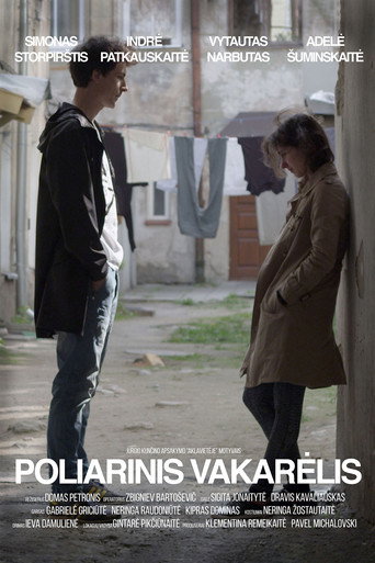 Polar Party movie poster