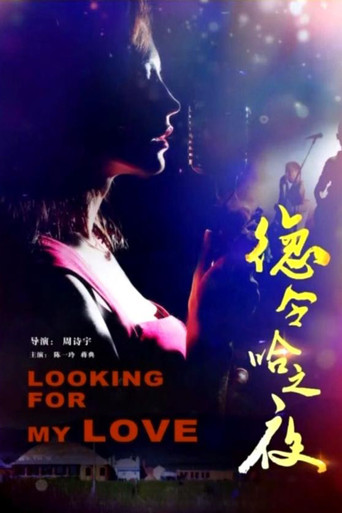 Delhi Night movie poster