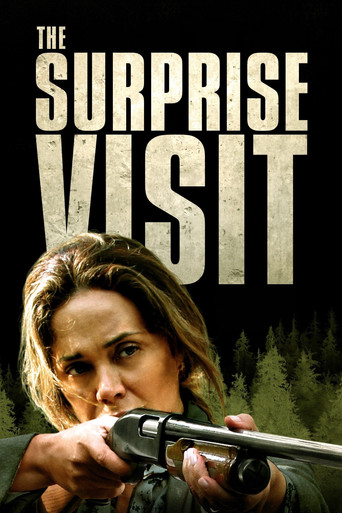 The Surprise Visit movie poster