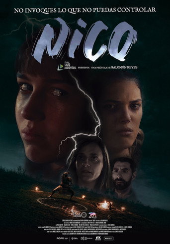 Nico movie poster