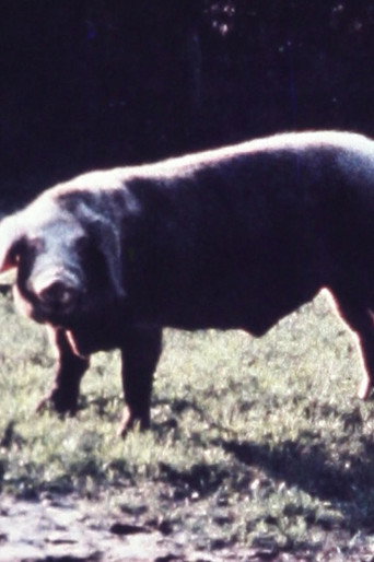 Schweineschnitzel movie poster