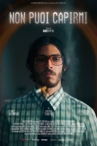 You can't understand me movie poster