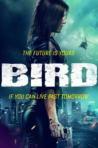 Bird movie poster