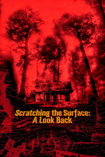 Scratching the Surface: A Look Back movie poster