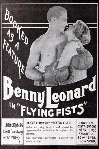 Flying Fists movie poster