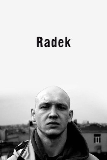 Radek movie poster