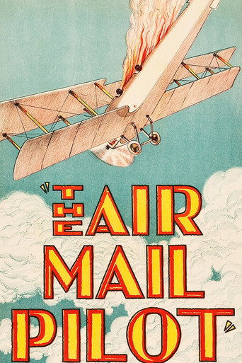 The Air Mail Pilot movie poster