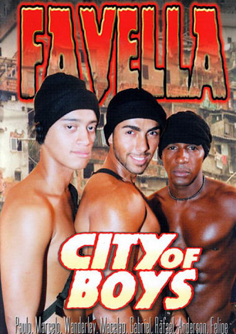 Favella: City of Boys 1 movie poster