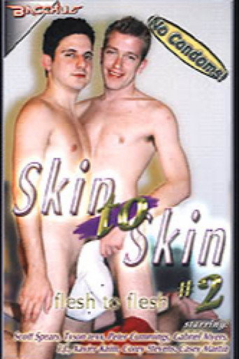 Skin to Skin 2 movie poster