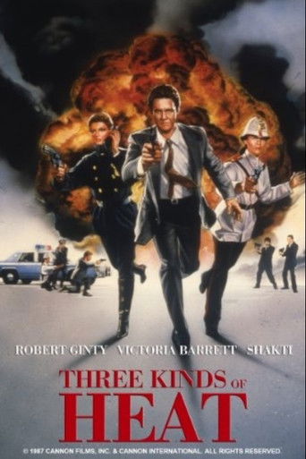 Three Kinds of Heat movie poster