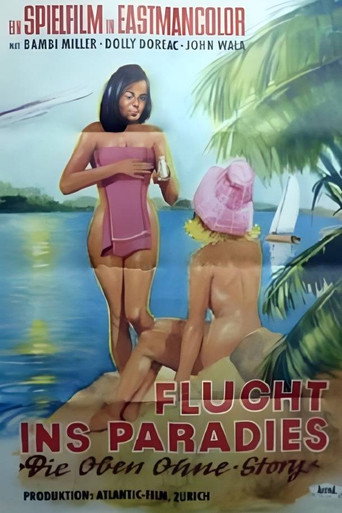 The Topless Story movie poster