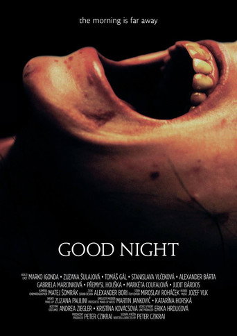 Good Night movie poster