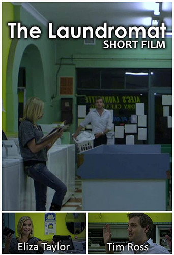 The Laundromat movie poster