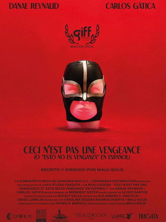 This Is Not Revenge movie poster