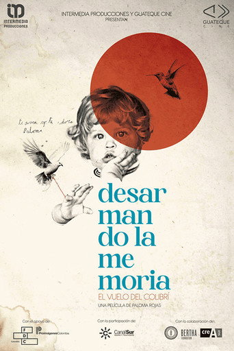 Desarmando la Memoria : El Vuelo del Colibrí movie poster