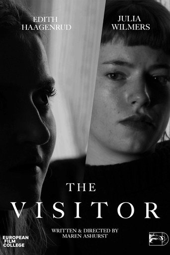The Visitor movie poster