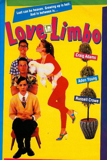 Love In Limbo movie poster