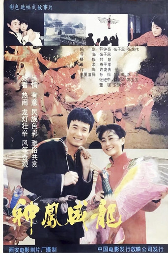 神凤威龙 movie poster