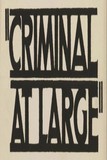 A Criminal at Large movie poster
