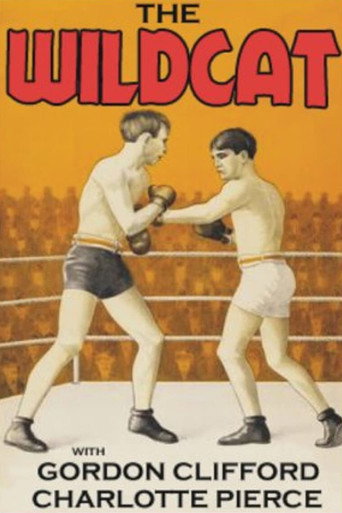 The Wildcat movie poster