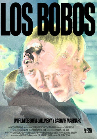 Los Bobos movie poster