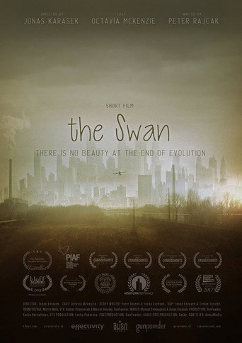 The Swan movie poster