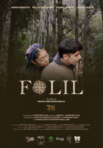 Folil movie poster