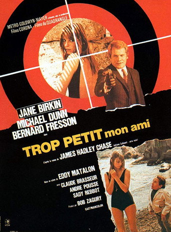 Too Small My Friend movie poster