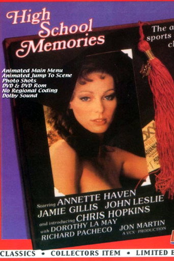 High School Memories movie poster