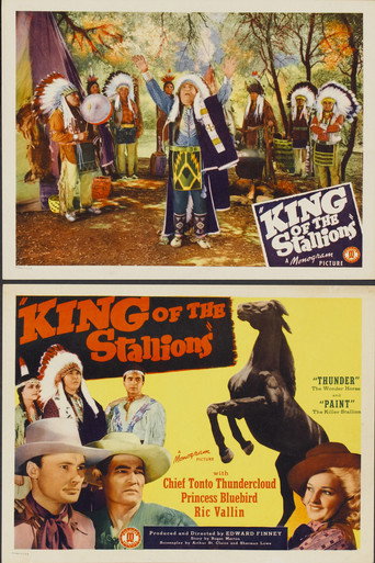 King of the Stallions movie poster