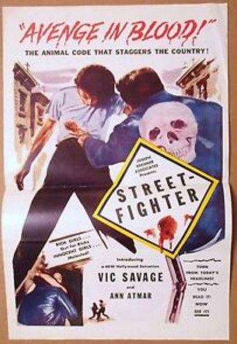 Street Fighter movie poster