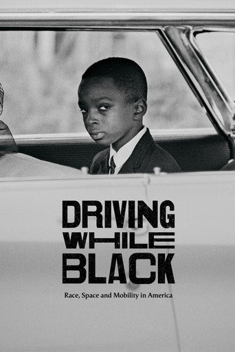 Driving While Black: Race, Space and Mobility in America movie poster