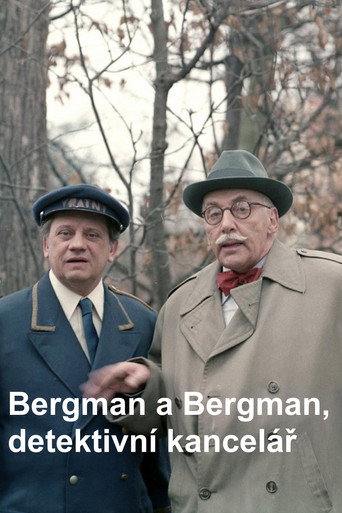 Bergman a Bergman, detektivní kancelář movie poster