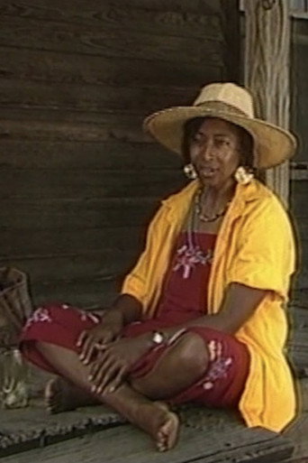 Visions of the Spirit: A Portrait of Alice Walker movie poster