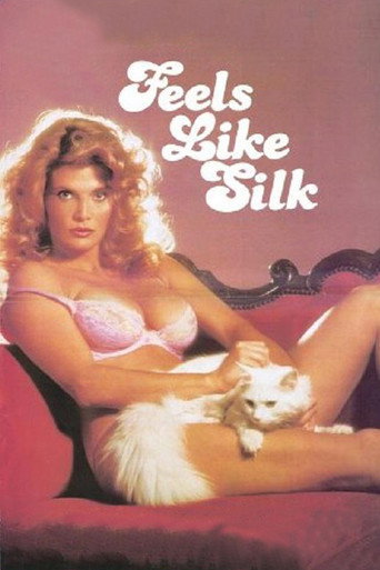 Feels Like Silk movie poster