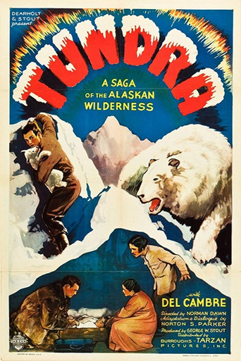 Tundra movie poster