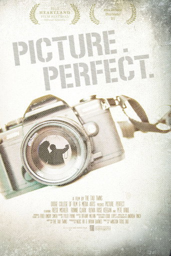 Picture. Perfect. movie poster