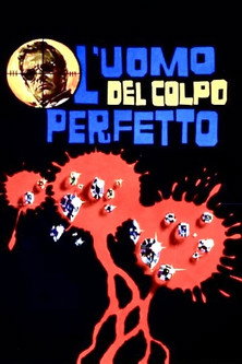 Hot Diamonds in Cold Blood movie poster