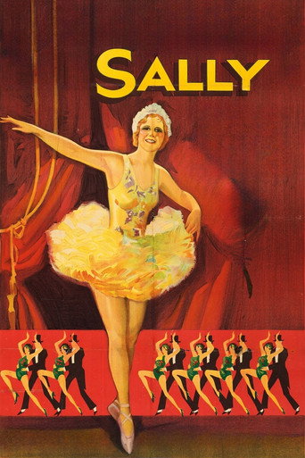 Sally movie poster