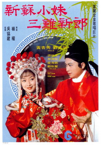 Learned Bride Thrice Fools the Bridegroom movie poster