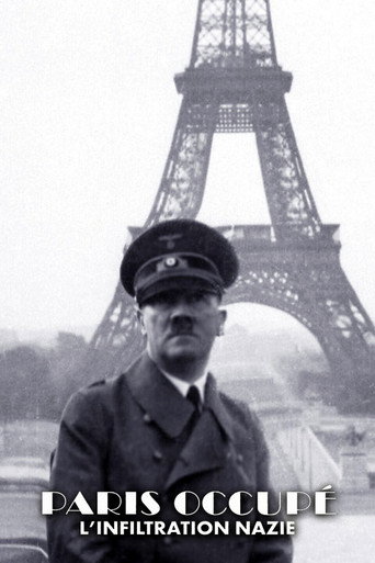 When Paris was German movie poster