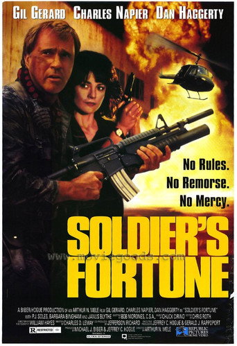 Soldier's Fortune movie poster