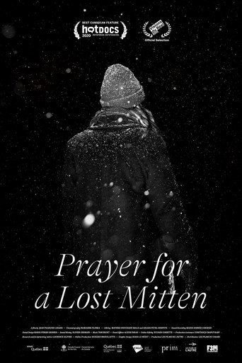 Prayer for a Lost Mitten movie poster