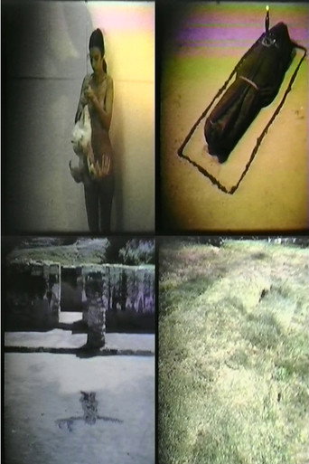 Ana Mendieta: Selected Film Works movie poster
