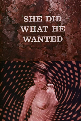 She Did What He Wanted movie poster