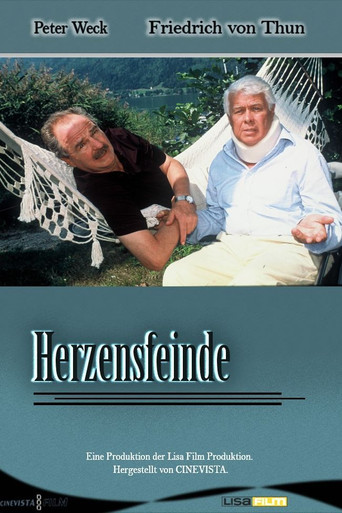 Herzensfeinde movie poster