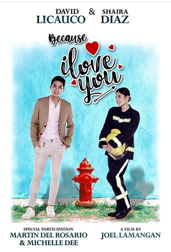 Because I Love You movie poster